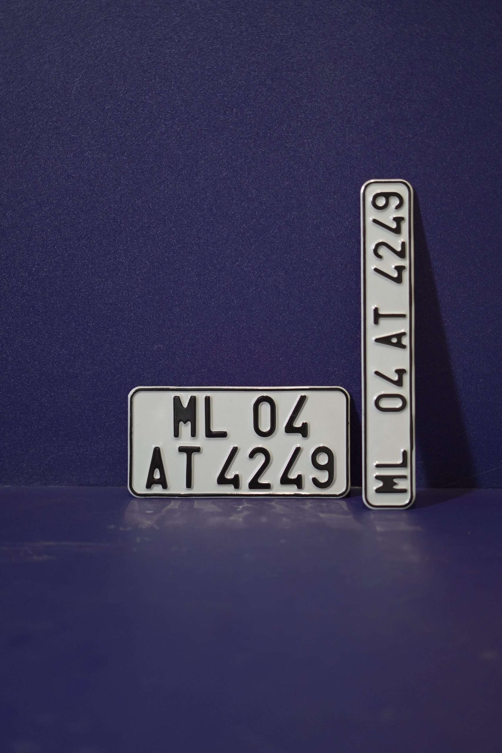 Bike Plate Pair